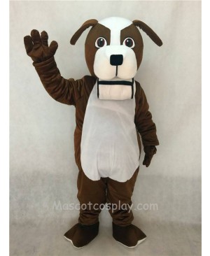 High Quality Adult Brown and White St. Bernard Dog with Barrel Mascot Costume