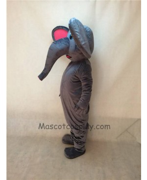 Cute New Asian Elephant Mascot Costume