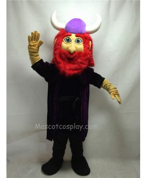 Cute Friendly Viking Mascot Costume