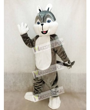 Cute Gray Husky Dog Mascot Costume