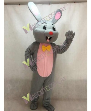 Easter Grey Bunny Rabbit Hare Mascot Costume