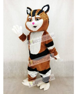 Black and Brown Cat Mascot Costume