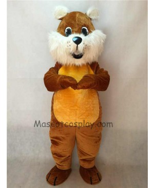 FCute Chubby Squirrel Mascot Costume