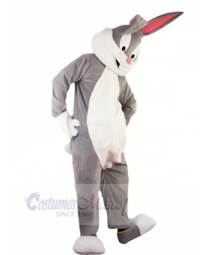 Hot Professional Easter Bunny Mascot Costumes Cheap