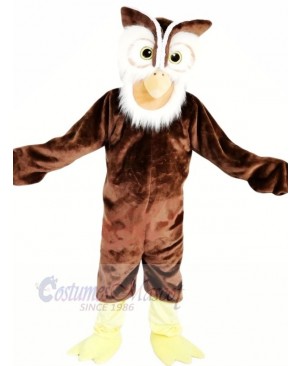 High Quality Owl Mascot Costumes Cartoon