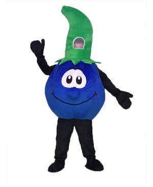 High Quality Bobby Blueberry Blue Berry Mascot Costume
