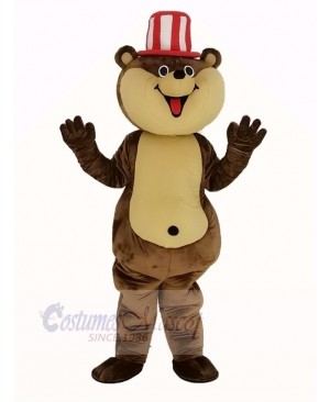 Huge Brown Teddy Bear Mascot Costume