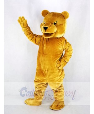 Long-haired Brown Bear Mascot Costume Cartoon	