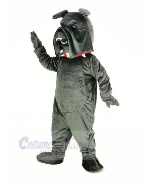 Dark Gray Bully Bulldog Mascot Costume Animal