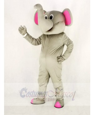 Realistic Gray Elephant with Pink Ears Mascot Costume Cartoon