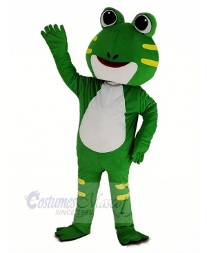 Cute Green Frog Mascot Costume