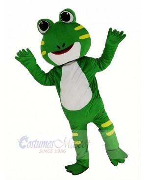 Cute Green Frog Mascot Costume