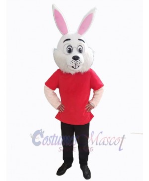 Easter Bunny Rabbit mascot costume