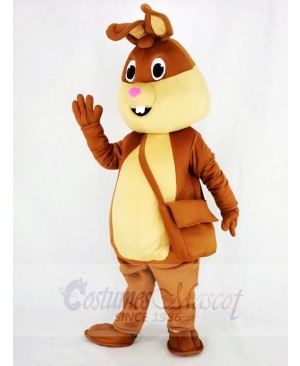Brown Easter Bunny Rabbit Mascot Costume Cartoon