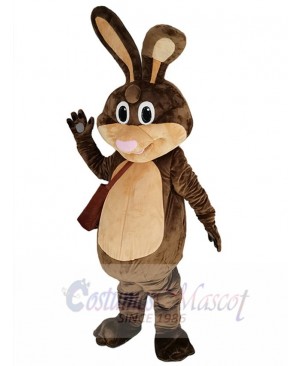 Easter Bunny mascot costume