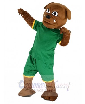 Brown Bulldog in Green Sweatshirt Mascot Costume