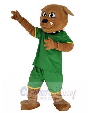 Bulldog mascot costume