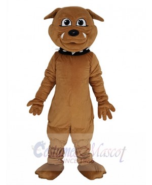 Bulldog mascot costume