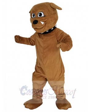 Bulldog mascot costume