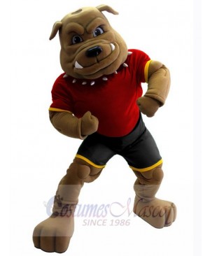 Bulldog mascot costume