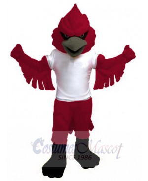 Cardinal mascot costume