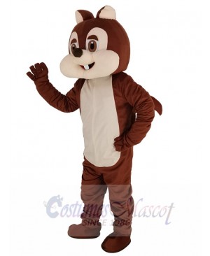 Chipmunk mascot costume