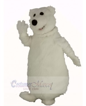 Giant Fat Polar Bear Mascot Costume