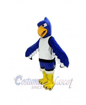 Seahawk mascot costume