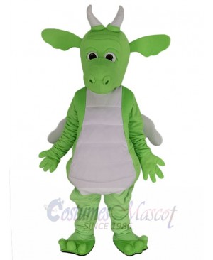 Dragon mascot costume