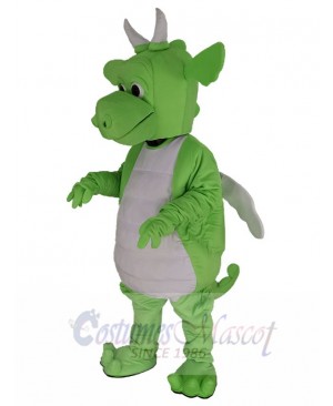 Dragon mascot costume