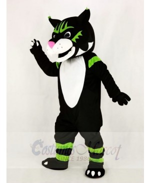 Black Wildcat Mascot Costume School	