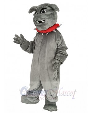 Bulldog mascot costume