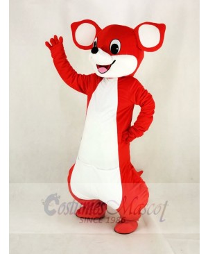 Cute Red Kangaroo Mascot Costume Cartoon