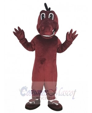 Dragon mascot costume