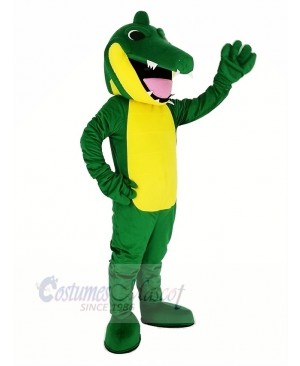 Green Tortoise Turtle Mascot Costumes Animal