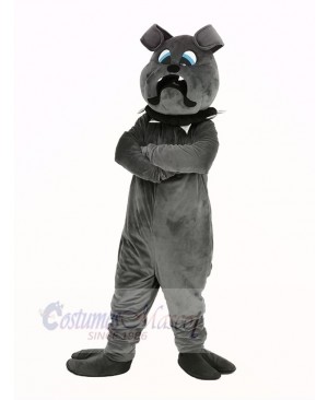Fierce Grey Bulldog Mascot Costume