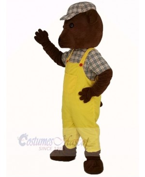 Teddy Bear in Yellow Overalls Mascot Costume Cartoon