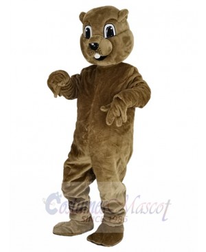 Brown Groundhog Mascot Costume Animal