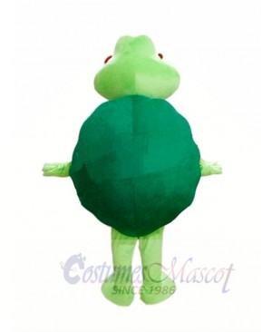 Cheap Green Turtle Custom Mascot Costumes 