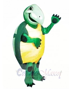 High Quality Turtle Mascot Costumes 