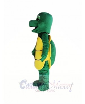 Little Green Tortoise Mascot Costumes 