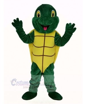 Plush Green Turtle Mascot Costume