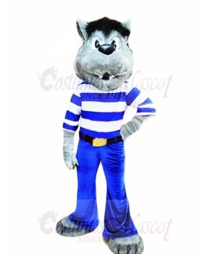 Best Quality Grey Wolf Mascot Costumes 