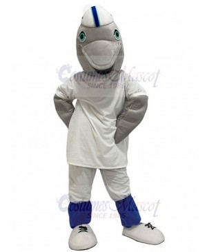 Dolphin mascot costume