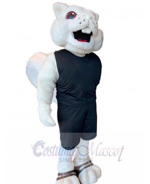 Squirrel mascot costume