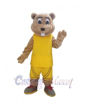 Gopher mascot costume