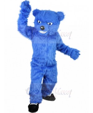 Bear Mascot Costume