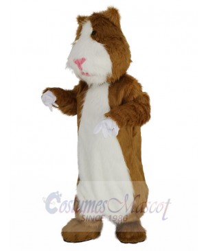 Hamster mascot costume