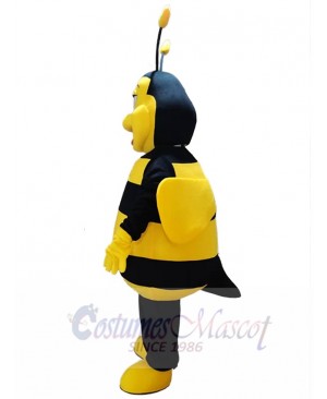 Bee mascot costume