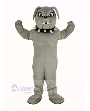 Gray Bulldog Mascot Costume